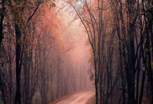 曼城门将出色表现，球队稳定性得到提升