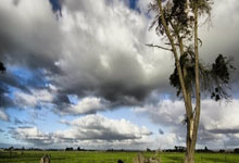 AC米兰主场憾负国际米兰，遭遇劲敌