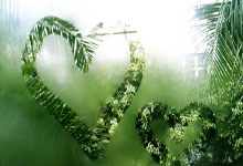 上海申花主帅调整阵容，策略应对亚洲联赛挑战