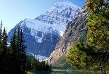 神奇一战，苦战中开拓出新天地，球场上的故事令人感慨