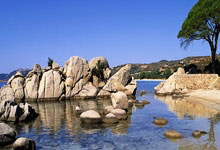 曼城门将出色表现，球队稳定性得到提升